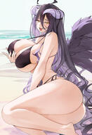 artist:hareno_chiame character:albedo copyright:overlord_(maruyama) general:1girl general:ahoge general:ass general:bare_shoulders general:beach general:bikini general:black_bikini general:black_hair general:black_wings general:blush general:breasts general:cleavage general:demon_girl general:feathered_wings general:horns general:large_breasts general:long_hair general:looking_at_viewer general:open_mouth general:shore general:smile general:solo general:swimsuit general:thighs general:wings general:yellow_eyes meta:absurdres meta:highres technical:grabber // 1692x2486 // 1.9MB