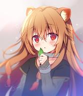 artist:sasai_saji character:raphtalia copyright:tate_no_yuusha_no_nariagari general:1girl general::&lt; general:animal_ear_fluff general:animal_ears general:black_shirt general:blurry general:blurry_background general:blush general:brown_hair general:closed_mouth general:collarbone general:depth_of_field general:hair_between_eyes general:head_tilt general:holding general:holding_leaf general:layered_sleeves general:leaf general:long_hair general:long_sleeves general:raccoon_ears general:raccoon_girl general:red_eyes general:shirt general:short_over_long_sleeves general:short_sleeves general:sidelocks general:signature general:sleeves_past_wrists general:solo general:upper_body general:very_long_hair meta:commentary_request technical:grabber // 1000x1164 // 134.9KB